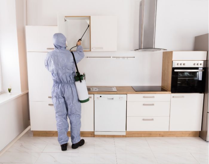 Anti termite pest 700 550