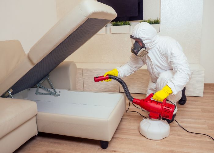 Bed bugl pest service 1