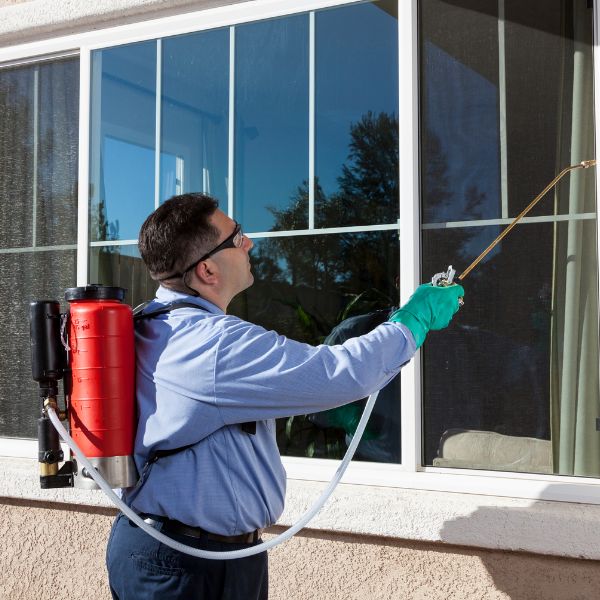 Commercial pest 600 600
