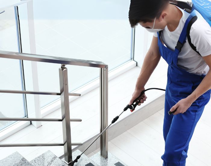 Commercial pest 700 550