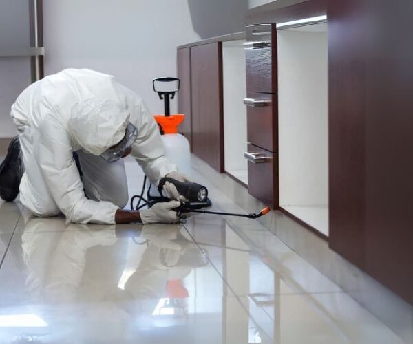 General pest service 600x500