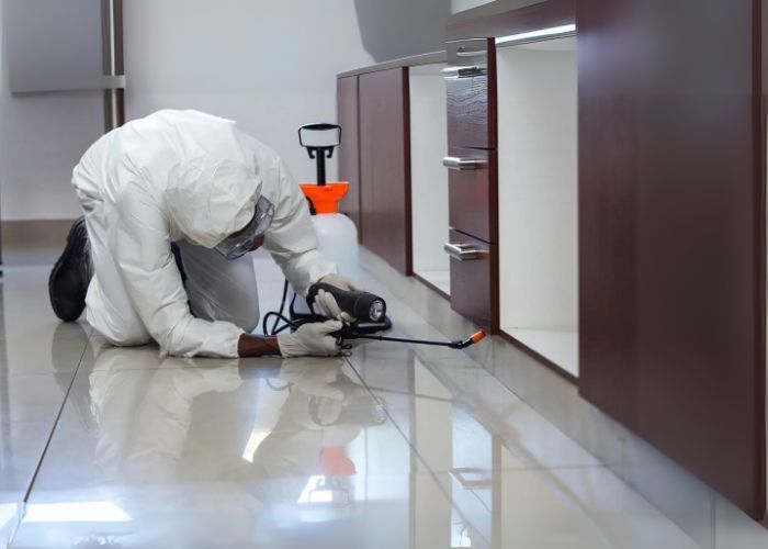 General pest service