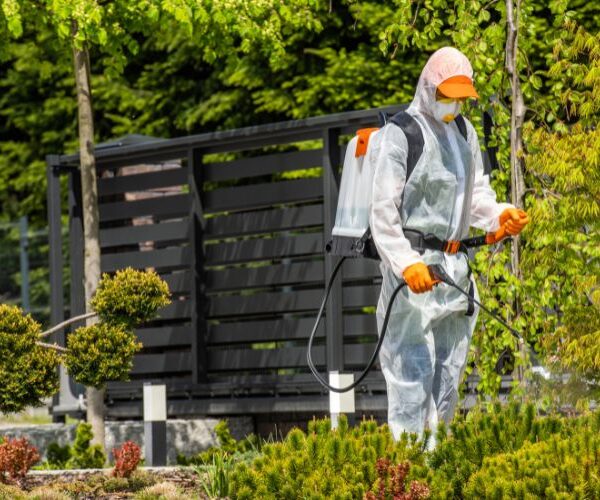 Herbal pest service 1 600x500
