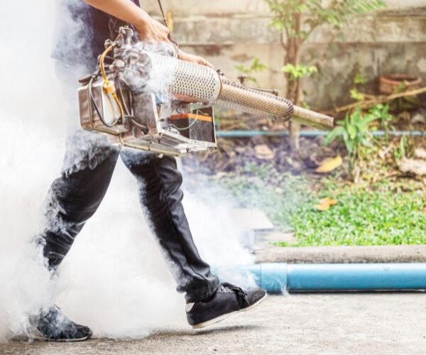 Mosquito pest service 600x500