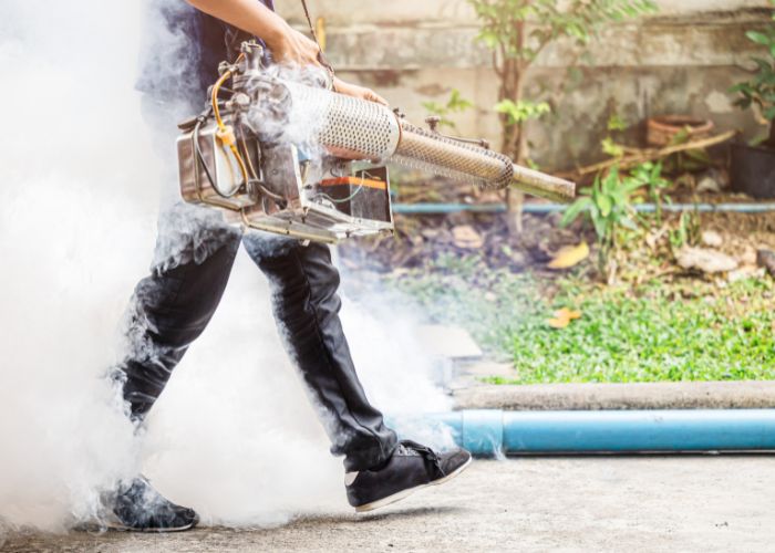 Mosquito pest service
