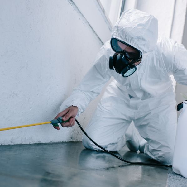 Pest control cockroch include