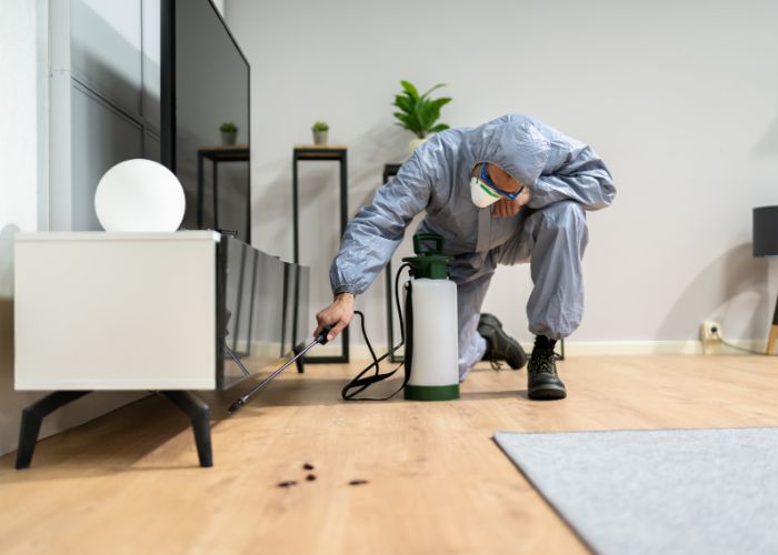 Pest control cockroch