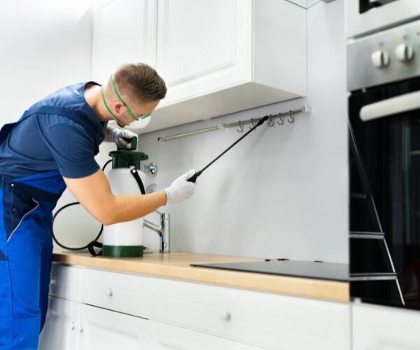 Residential pest service 600x500