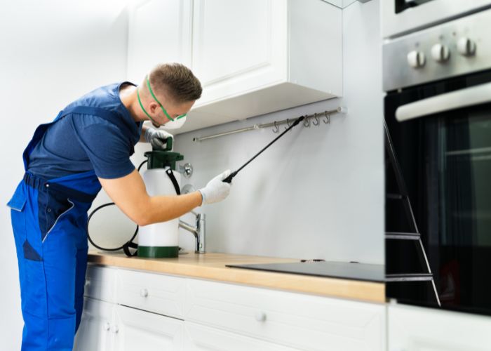 Residential pest service