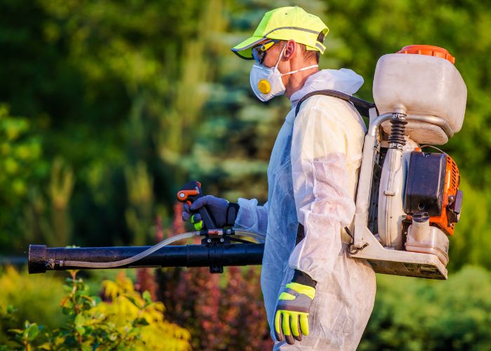 Safe and eco pest